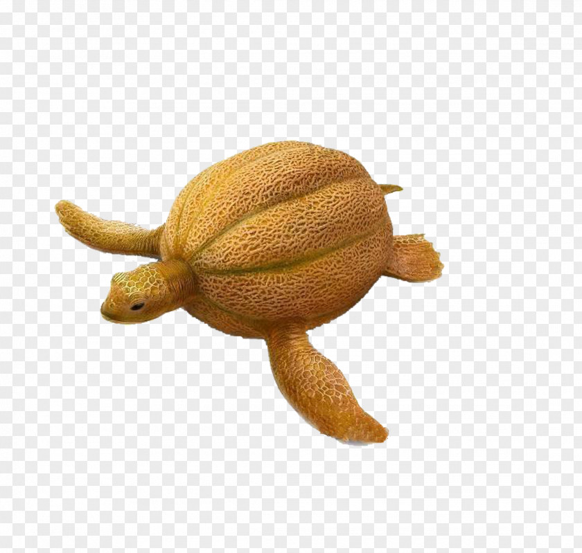 Turtle Kiwi Cantaloupe Nectar Kiwifruit Vegetable Carving PNG