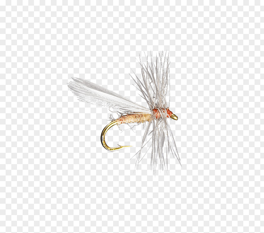 Fly Crane Insect Artificial Fishing PNG