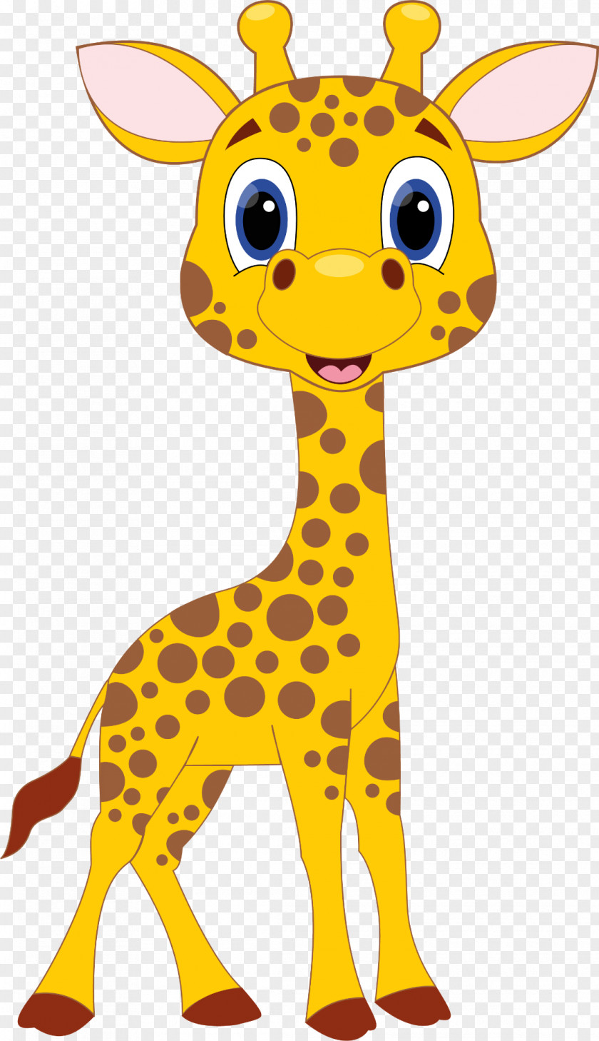 Giraffe Drawing Cartoon Clip Art PNG