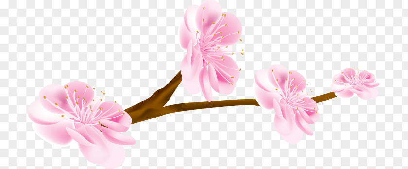 Hand-painted Cherry Blossom Petal Flower PNG