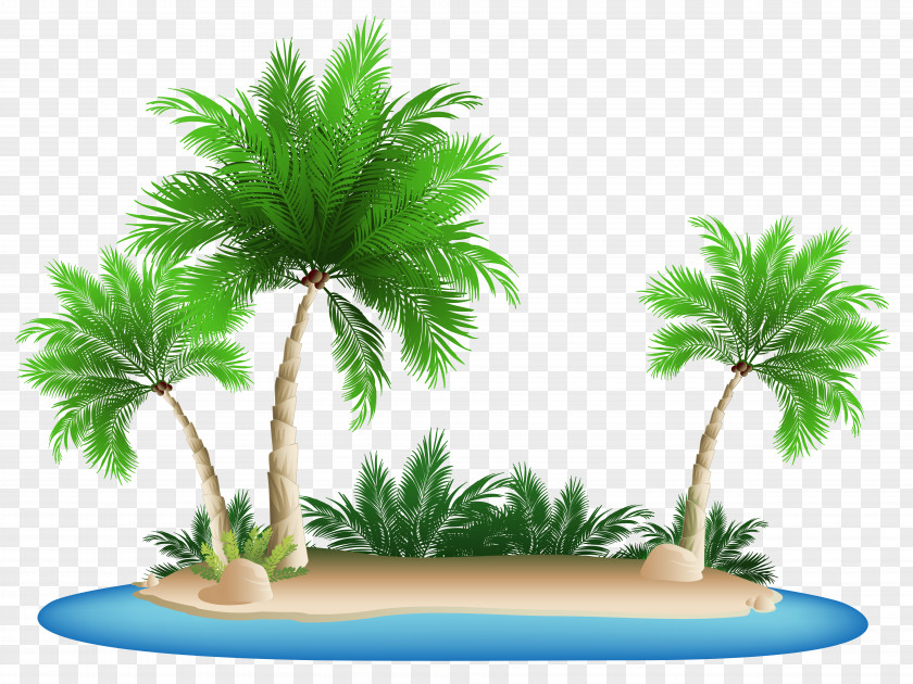Palm Trees Island Clipart Picture Kokopo Beach Bungalow Resort PNG