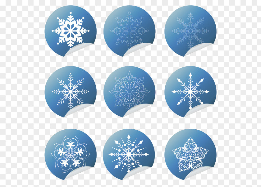 Weather Icon Vector Material Snowflake Euclidean PNG