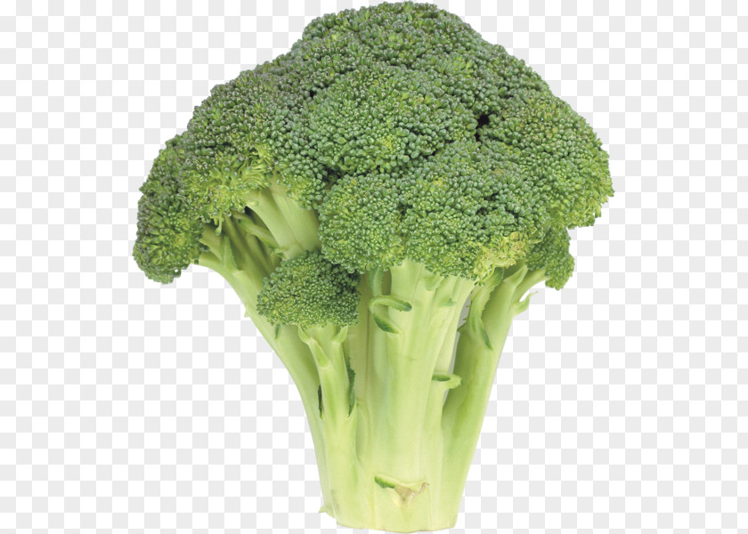 Broccoli Cruciferous Vegetables Cabbage Caesar Salad PNG