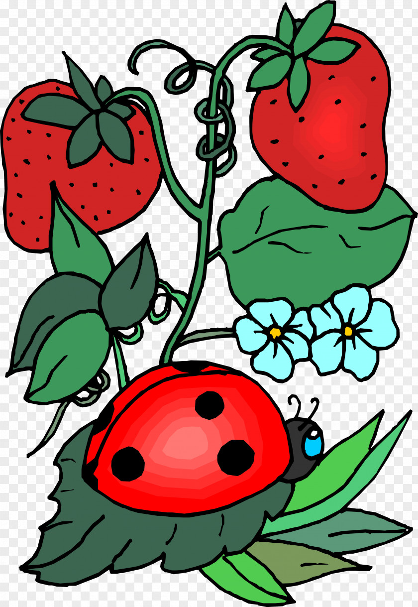 Ladybird Insect Bee Clip Art PNG