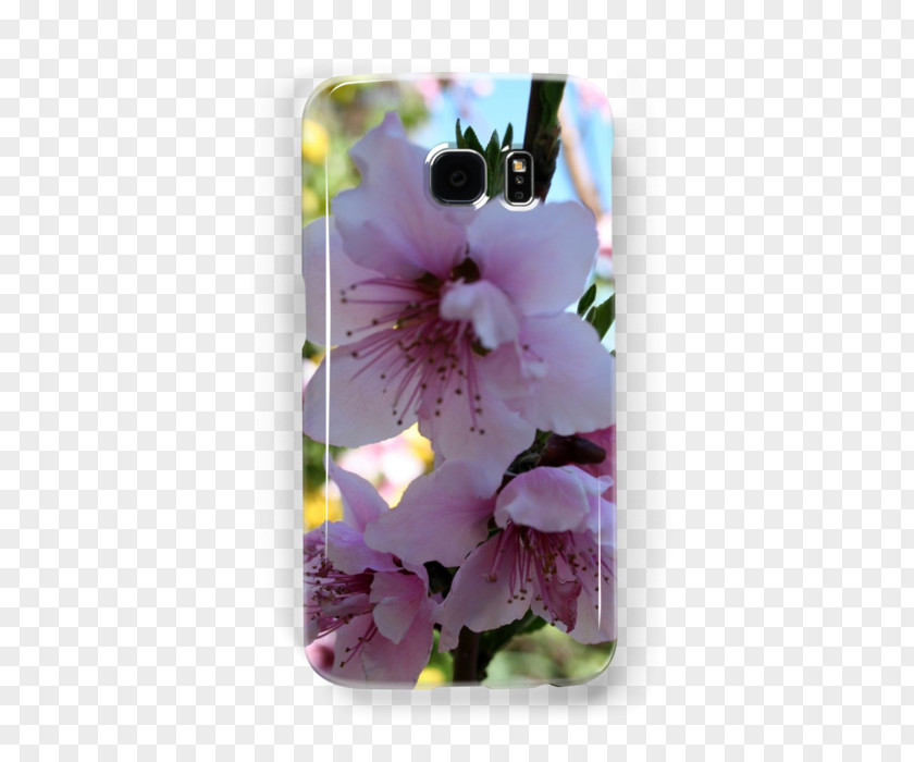 Peach Blossom Flower Violet Lilac Lavender Purple PNG