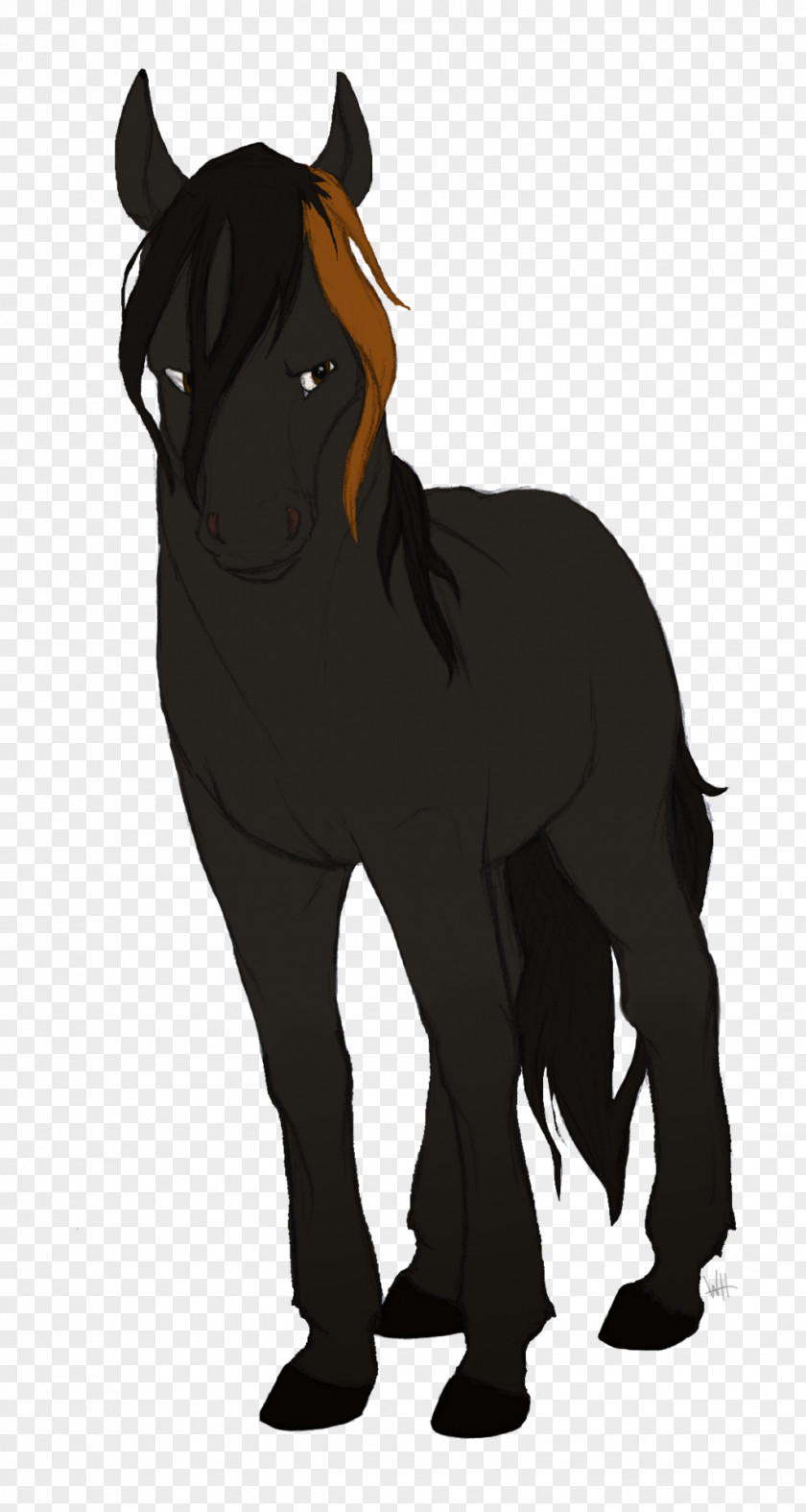 Stranger Foal Pony Stallion Mustang Halter PNG