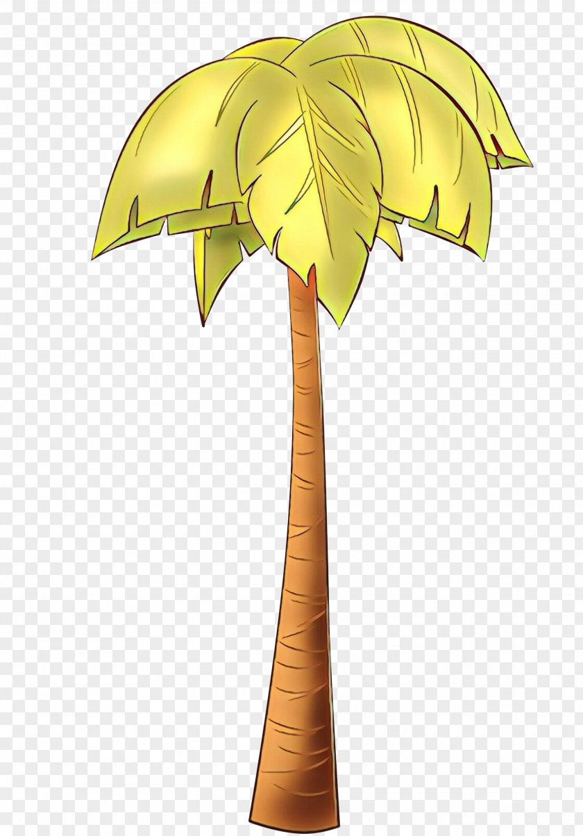 Arecales Palm Tree PNG