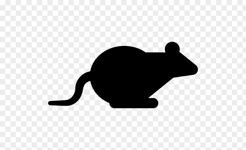 Mouse Animal Rodent Cat Computer Muroidea PNG