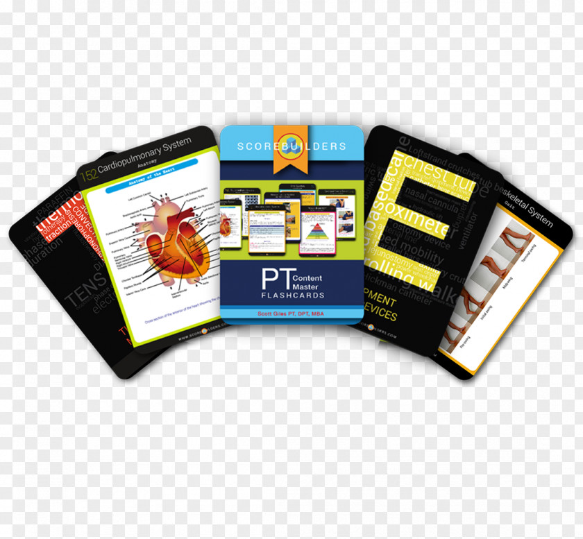 Span Of Control Scorebuilders Flashcard Index Cards 2010 Ford Edge Parent-Teacher Association PNG