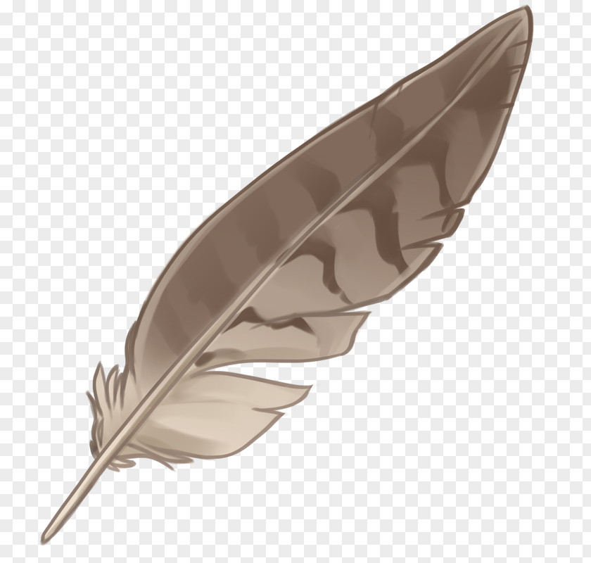 Feather Eagle Law Native Americans In The United States PNG