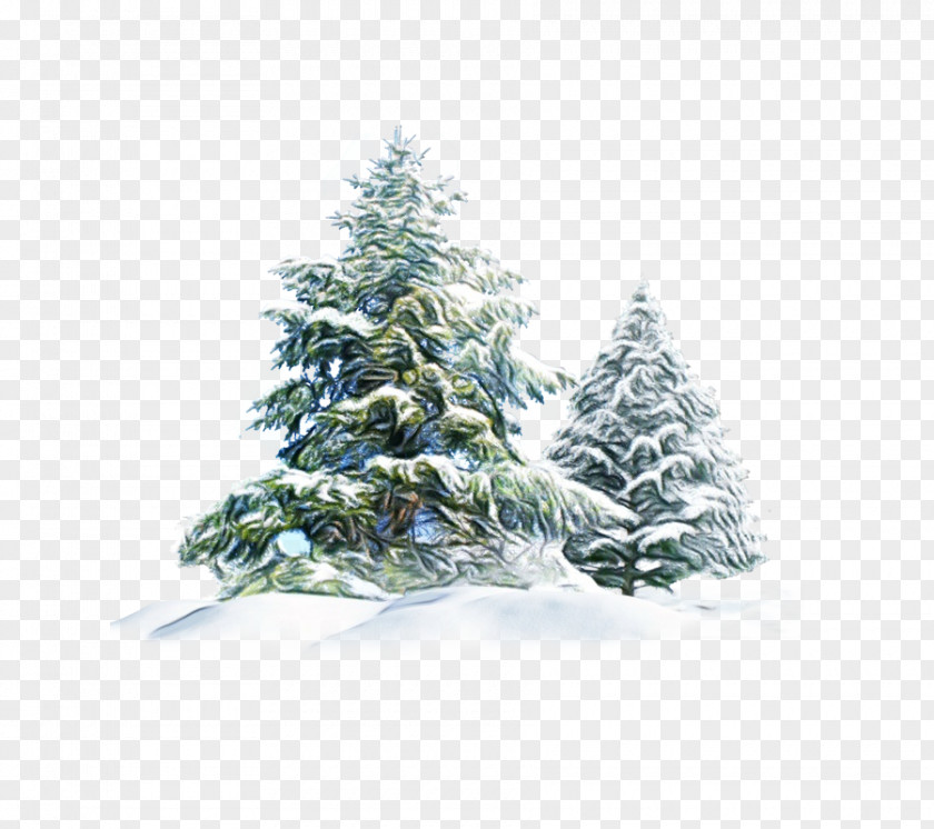 Forest Twig Christmas Black And White PNG
