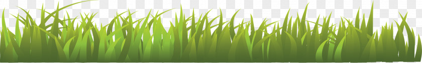 Grass Image, Green Picture Herbaceous Plant PhotoScape PNG