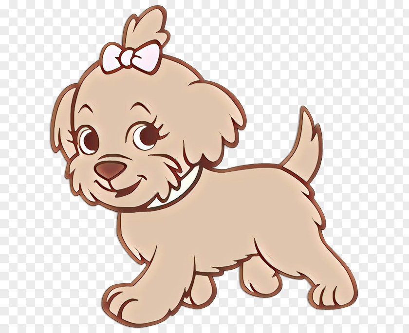 Havanese Yorkshire Terrier Cat And Dog Cartoon PNG
