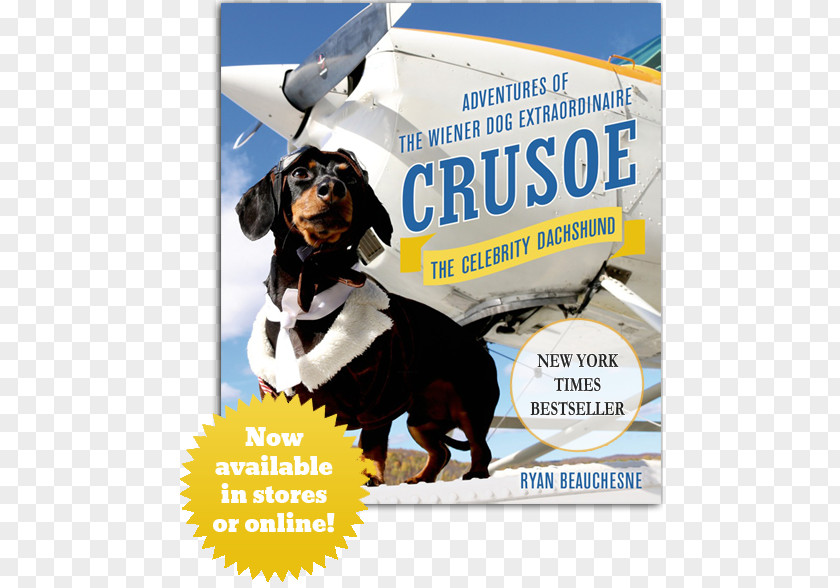 Ny Times Best Seller Crusoe, The Celebrity Dachshund: Adventures Of Wiener Dog Extraordinaire Book Worldly Dog: Further With Dachshund Amazon.com PNG