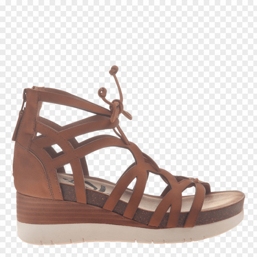 Sandal Wedge Shoe Fashion Woman PNG