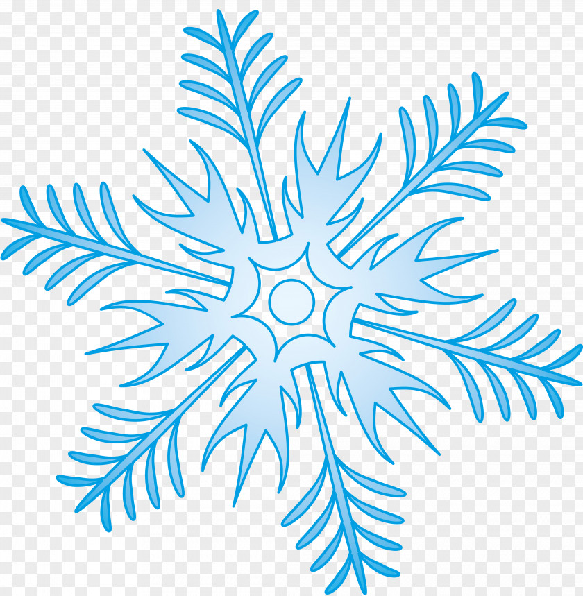 Snowflakes Khabarovsk Snowflake Shape Clip Art PNG