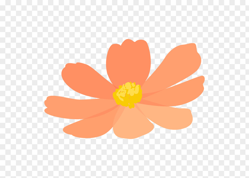 Illustration Flower Cleanser PNG
