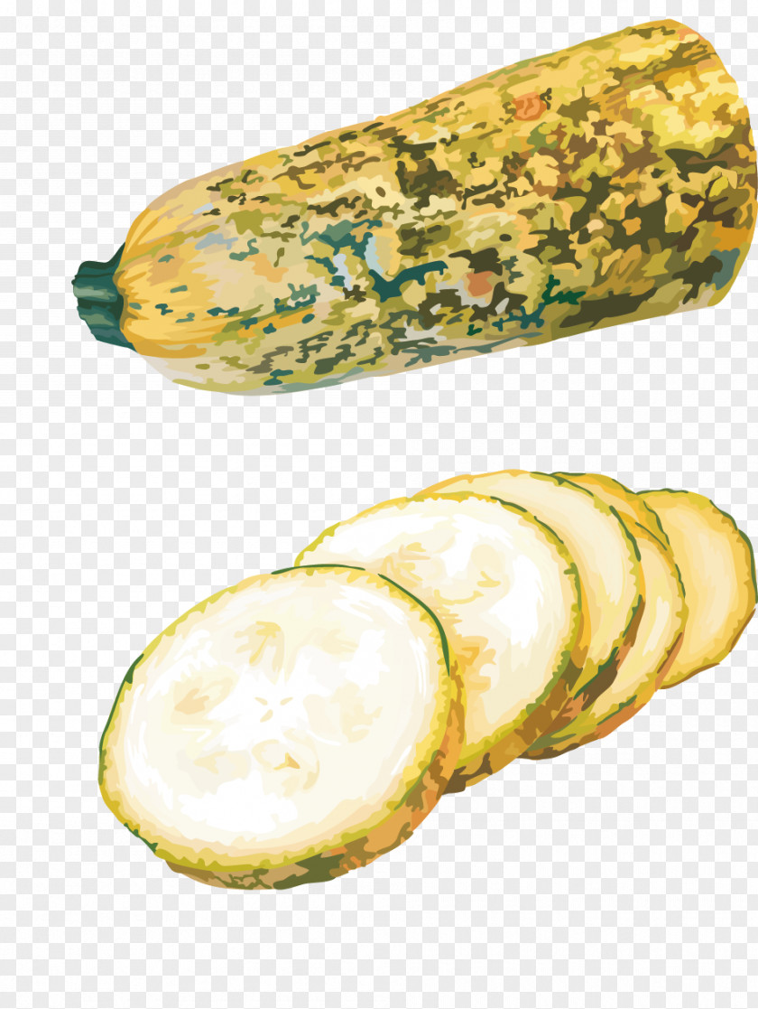 Melon Slices Cantaloupe Vegetable PNG