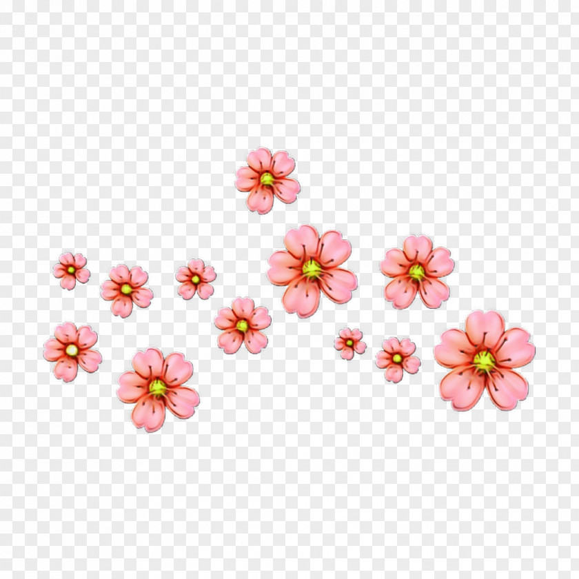 Perennial Plant Wildflower Cherry Blossom Background PNG