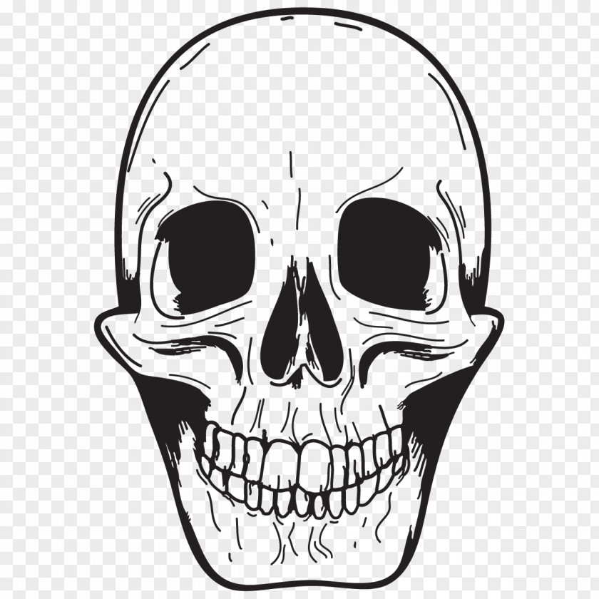 Skull Human Symbolism Sticker Smiley Emoticon PNG