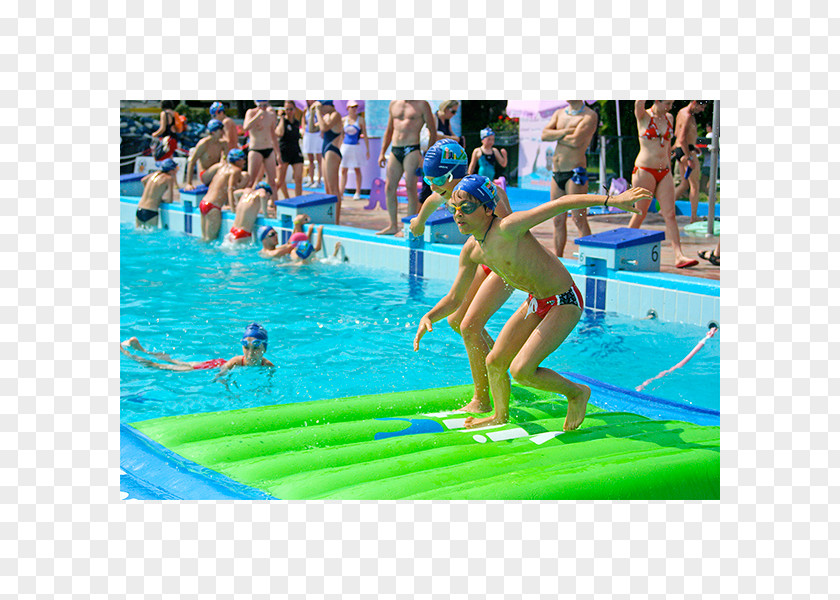 Swimming Pool Bondi Icebergs Club Inflatable Bouncers Game PNG