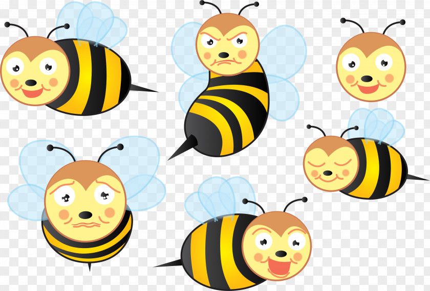 Bee Insect Apidae Honey PNG