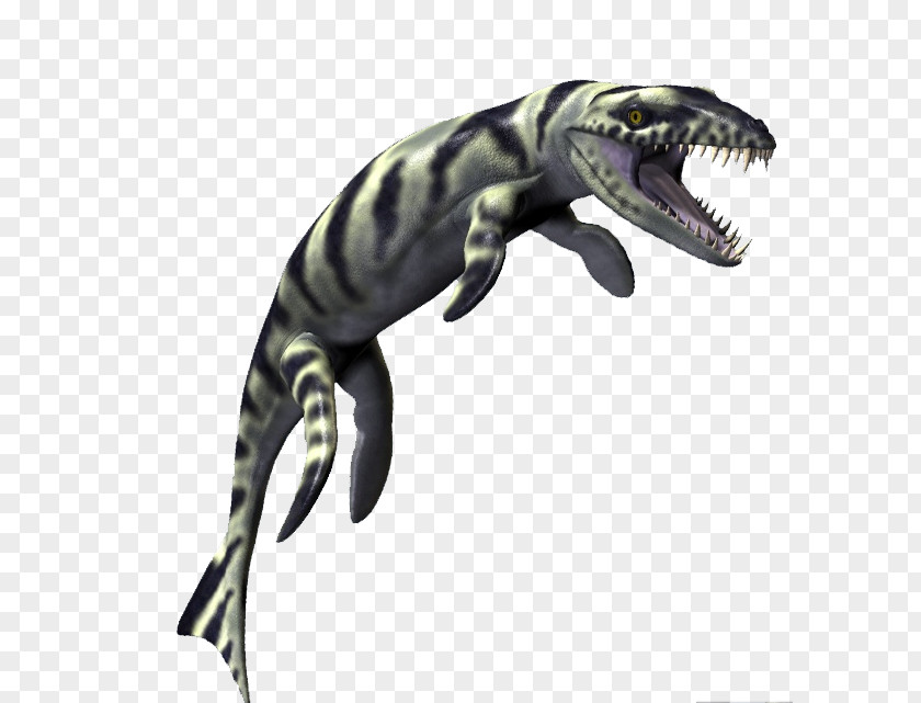 Dakosaurus Tyrannosaurus Geosaurus Bony Fishes Reptile PNG