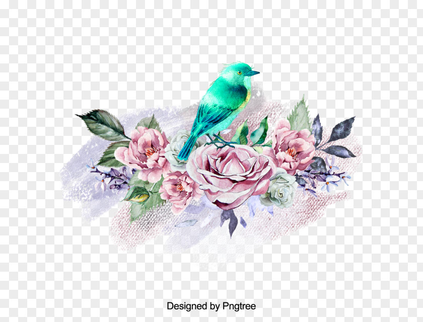 Flower Rose Family Floral Design Illustration PNG