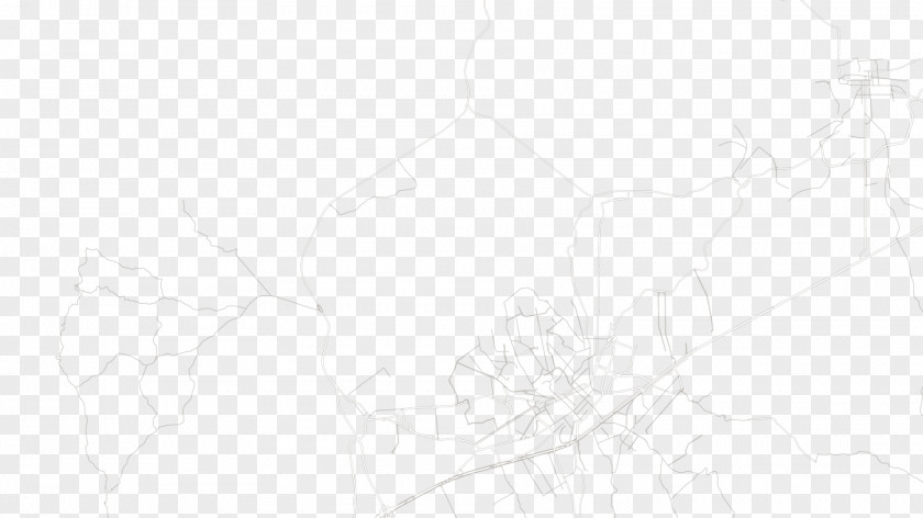 Mangrove Swamp White Sketch PNG