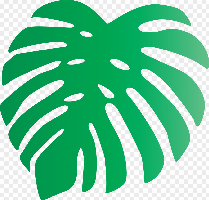 Monstera Tropical Leaf PNG