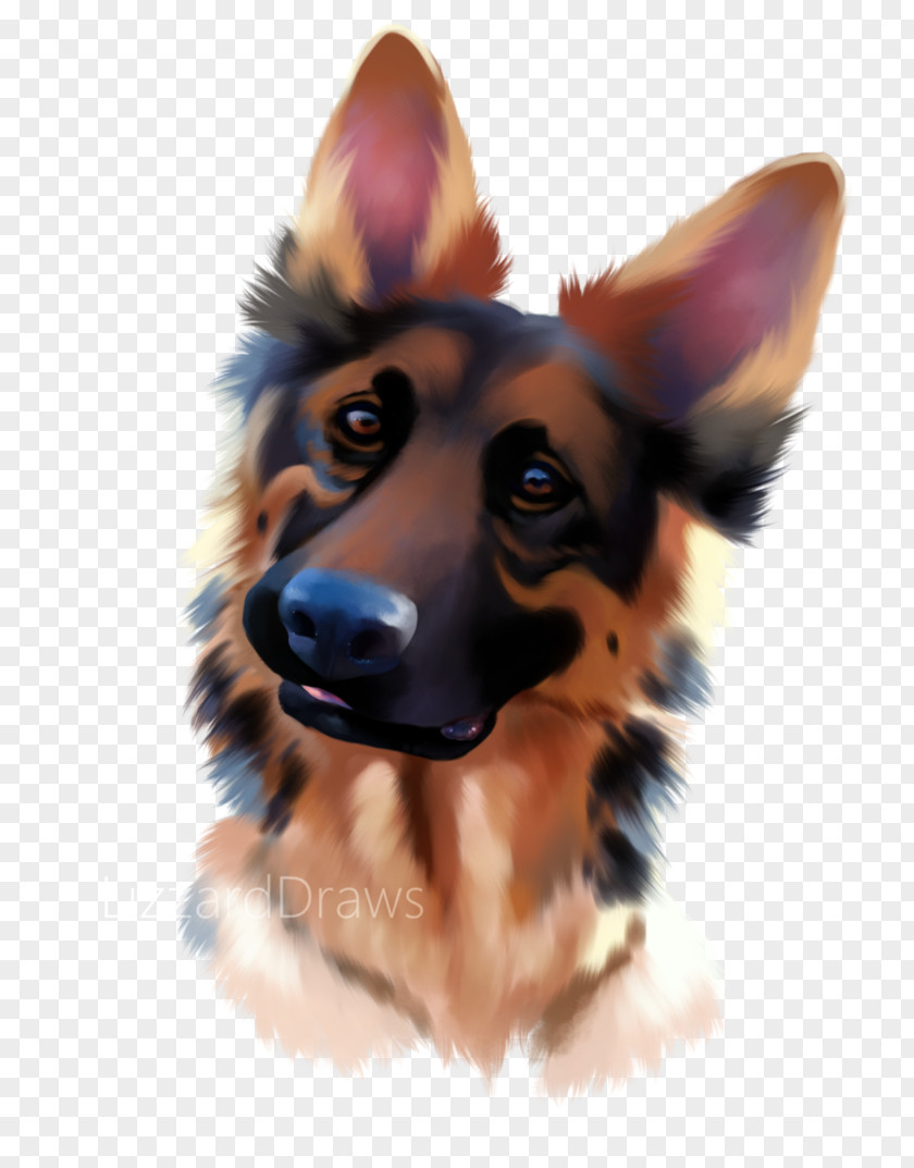 Puppy German Shepherd Companion Dog Breed Snout PNG