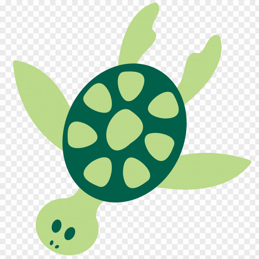 Sea Buckthorn Green Turtle Clip Art PNG