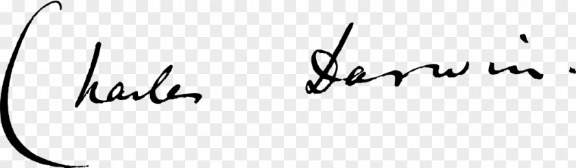 Signature Logo Handwriting Font PNG