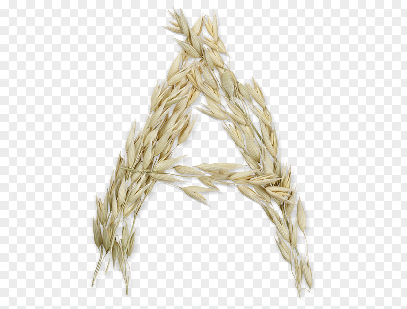 Wheat Straw School Library Letter Font PNG