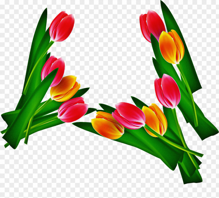 Artificial Flower Gladiolus Lily Cartoon PNG