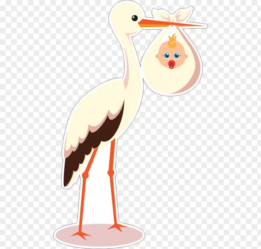 Baby Stork Vector Graphics Image Clip Art Child PNG
