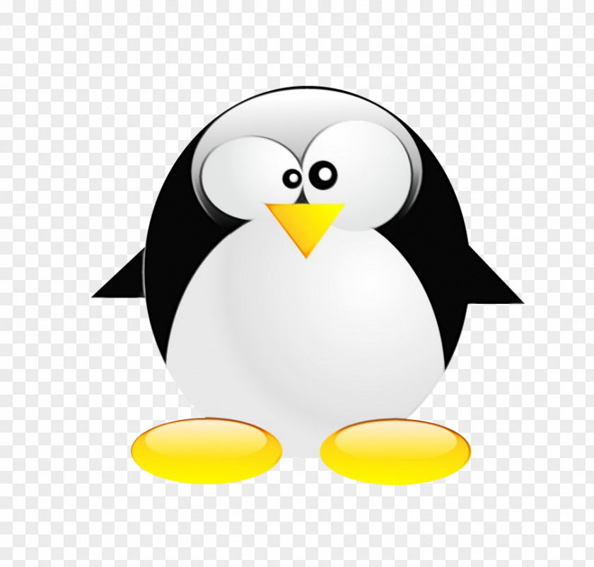 Beak Penguin PNG