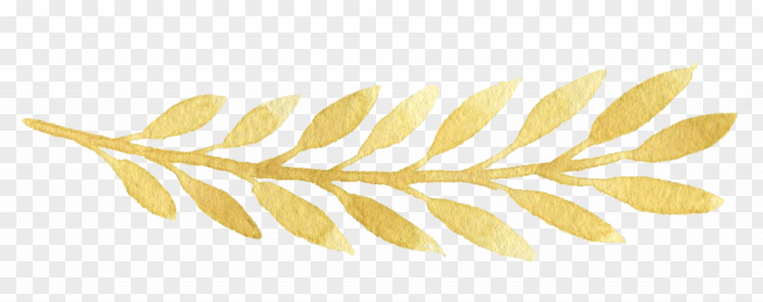Golden Leaves Leaf Gold PNG