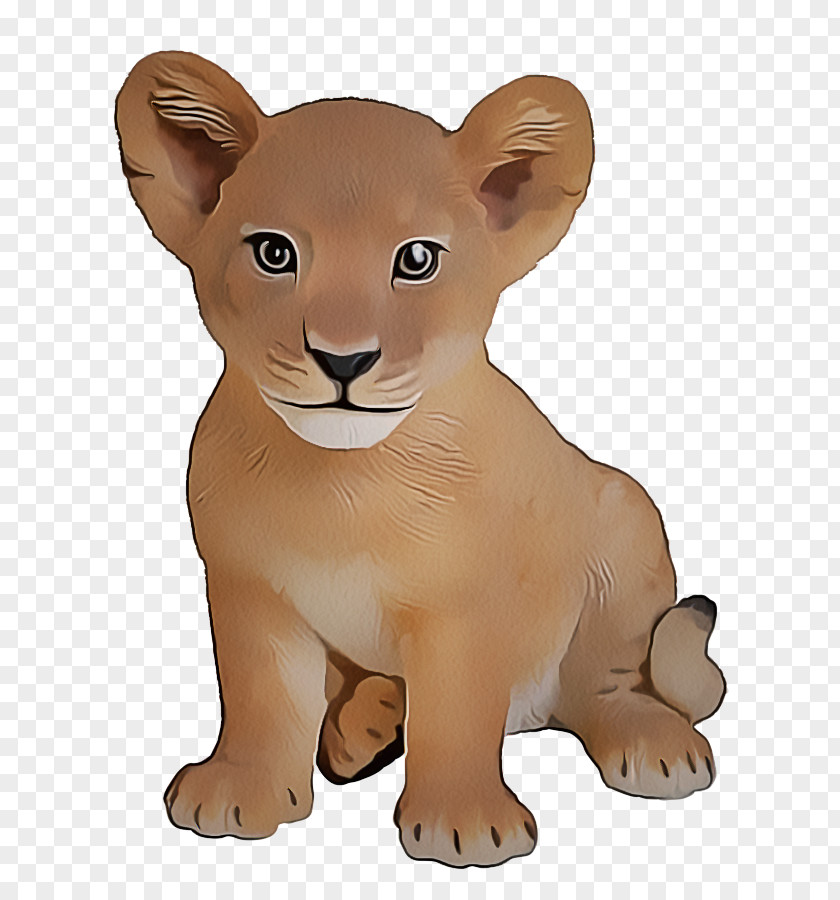 Snout Lion Animal Figure Wildlife Big Cats Terrestrial PNG