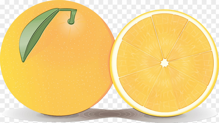 Sweet Lemon Valencia Orange Cartoon PNG