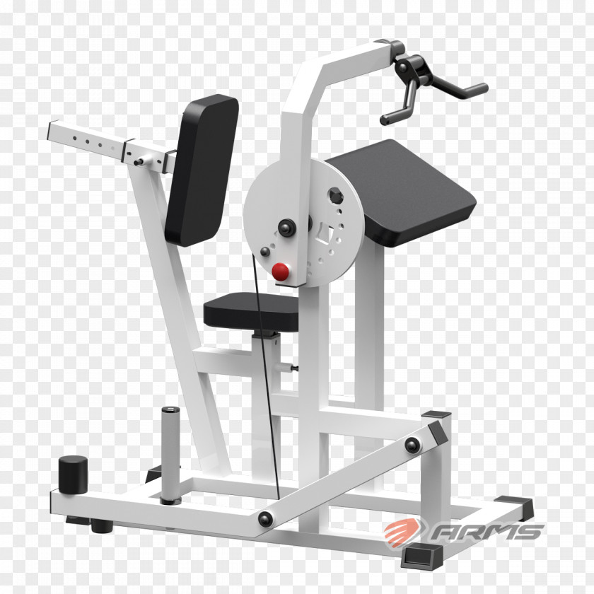 Exercise Machine Squat Fitness Centre Bench Press Yaguar-Sport PNG