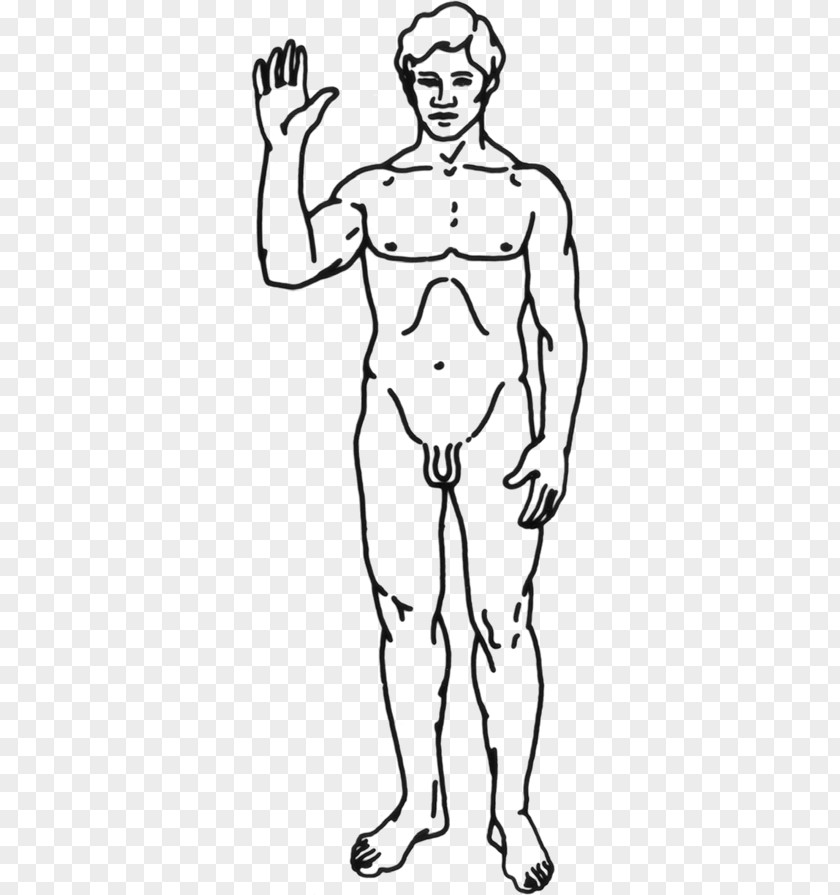 Homo Sapiens Human Body Clip Art PNG