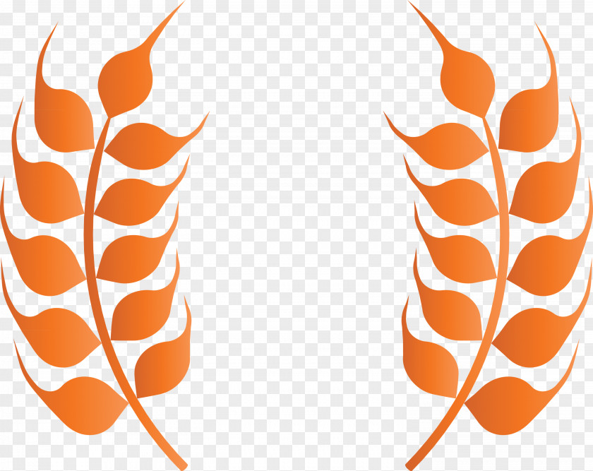 Wheat Ears PNG