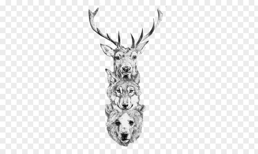 Wolf Bear Deer Head Creative Assembly Red Gray Elk PNG