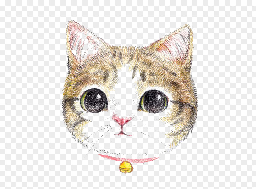 Cartoon Cat Dog Colored Pencil Painting Cuteness PNG