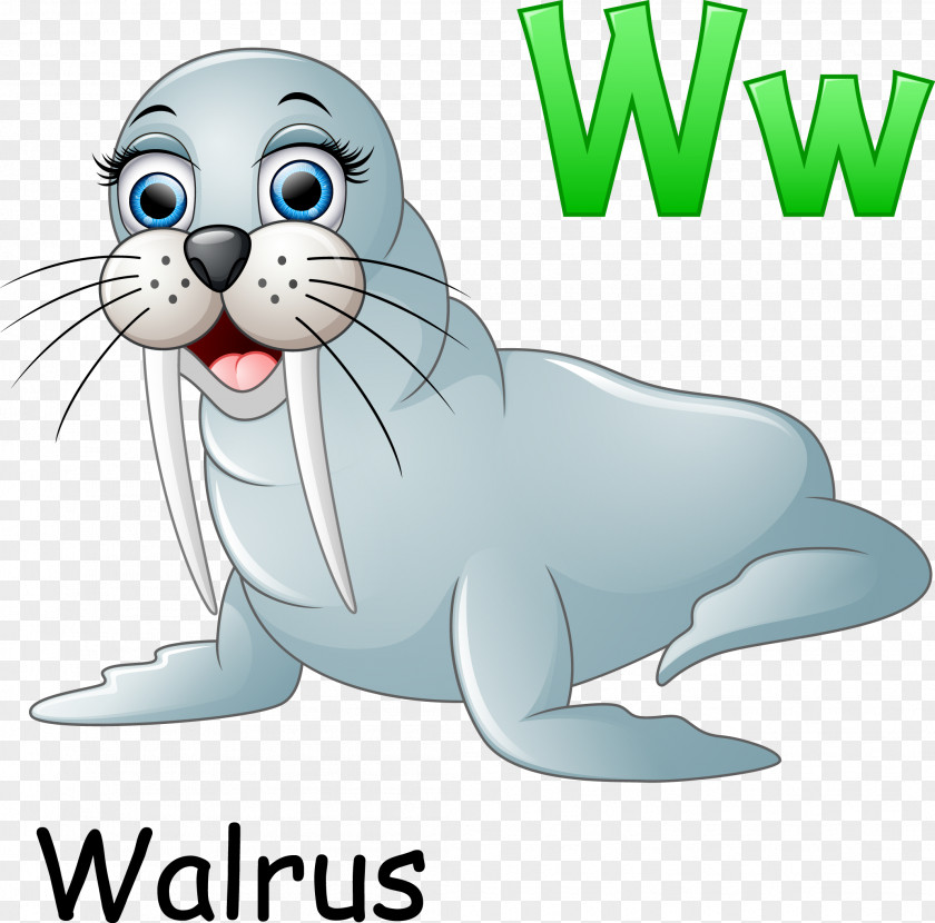 Cartoon Sea Lion Material Walrus Illustration PNG