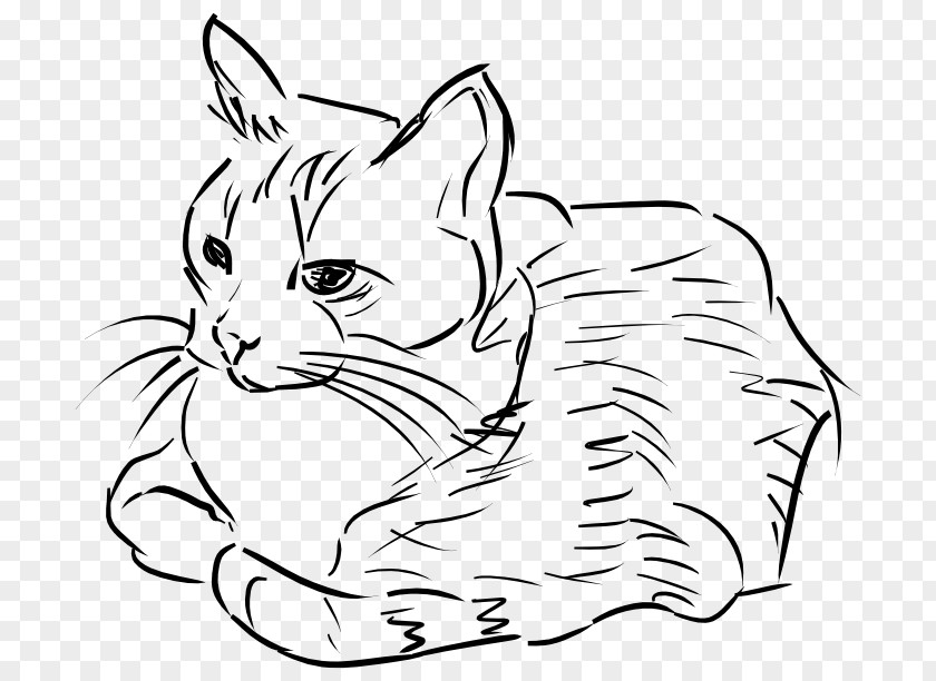 Cat Pet Sitting Drawing Clip Art PNG