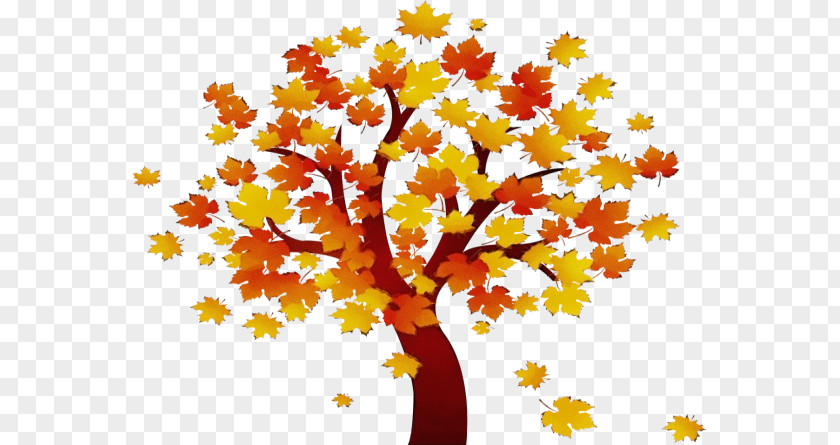 Deciduous Maple Autumn Tree Silhouette PNG