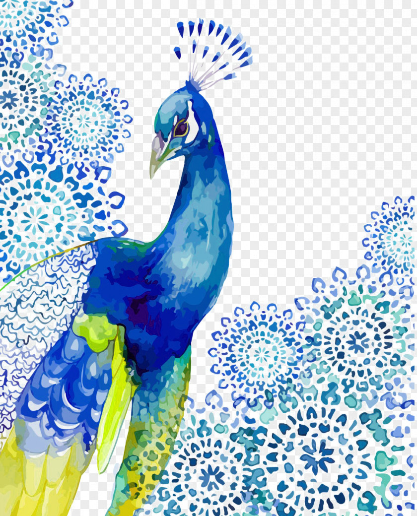 Peacock Watercolor Painting Peafowl Drawing Art PNG