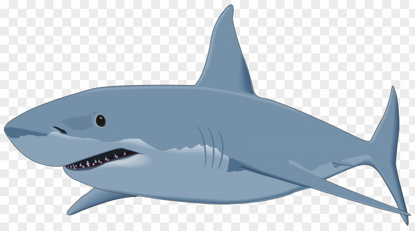 Shark Great White Clip Art PNG